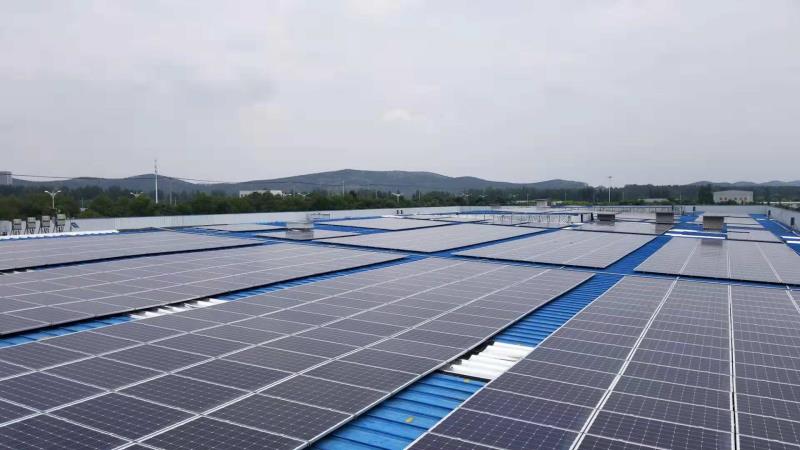 半岛在线体育app官方