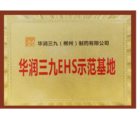 华润三九EHS示范基地