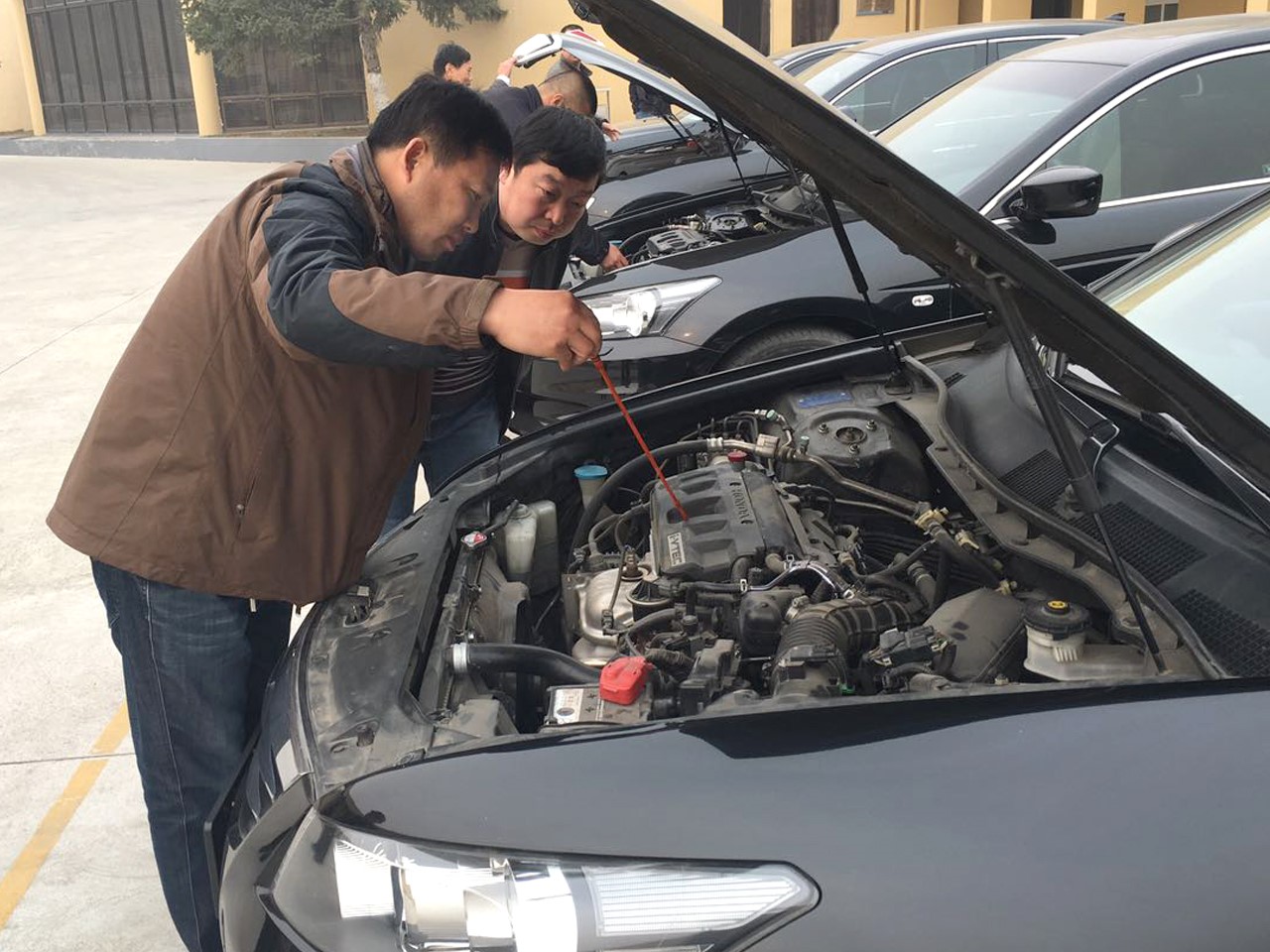 半岛在线体育app官方