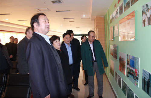 半岛在线体育app官方