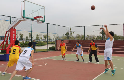 半岛在线体育app官方