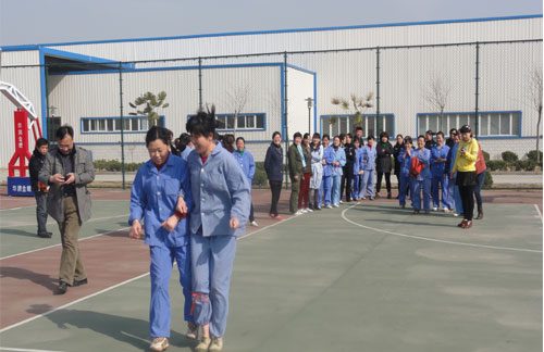 半岛在线体育app官方