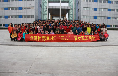 半岛在线体育app官方