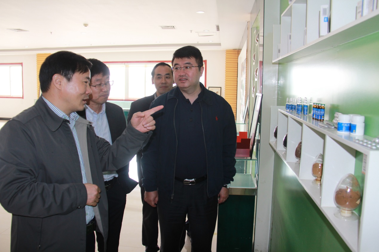 半岛在线体育app官方