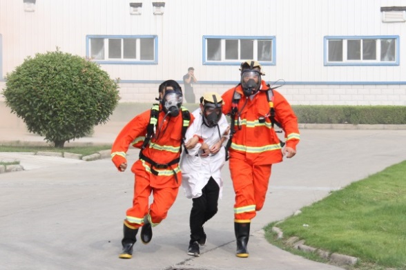 半岛在线体育app官方