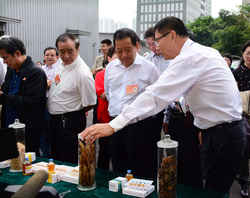 半岛在线体育app官方