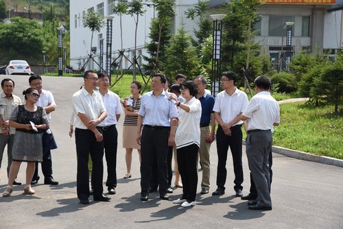 半岛在线体育app官方