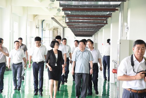 半岛在线体育app官方