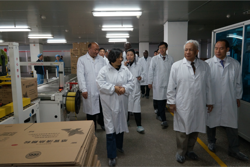 半岛在线体育app官方