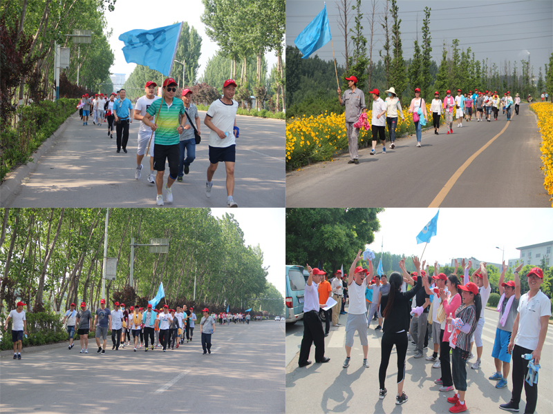 半岛在线体育app官方