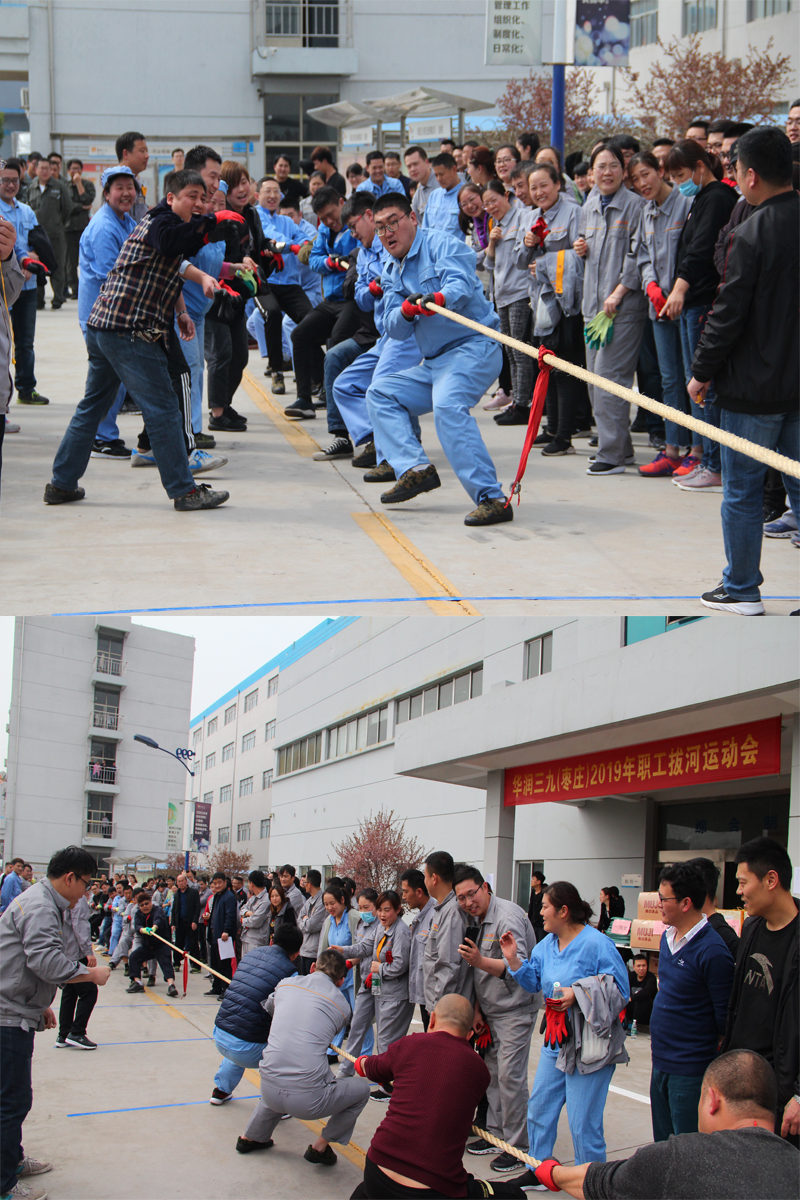 半岛在线体育app官方