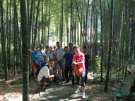 半岛在线体育app官方