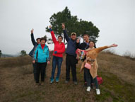 半岛在线体育app官方