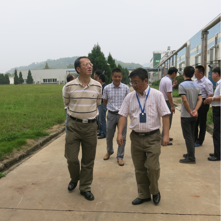 半岛在线体育app官方