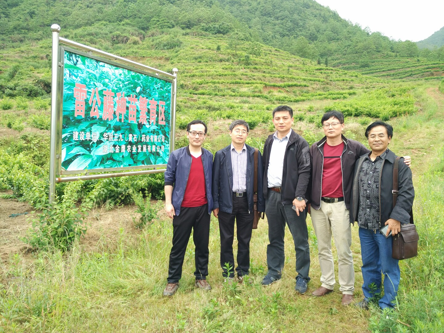 半岛在线体育app官方