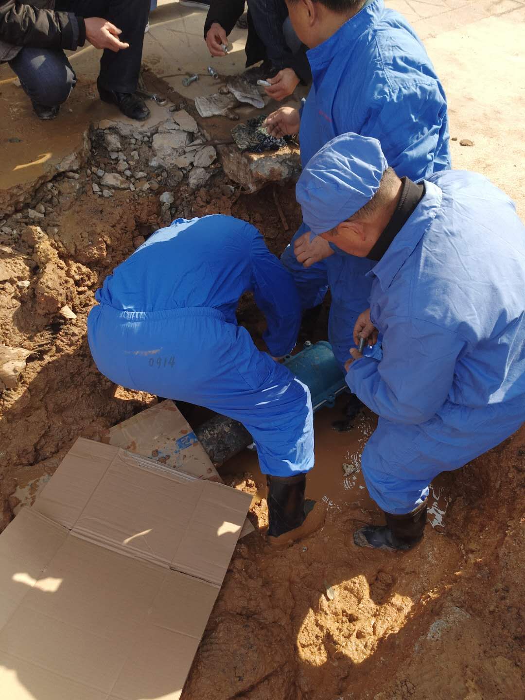 半岛在线体育app官方