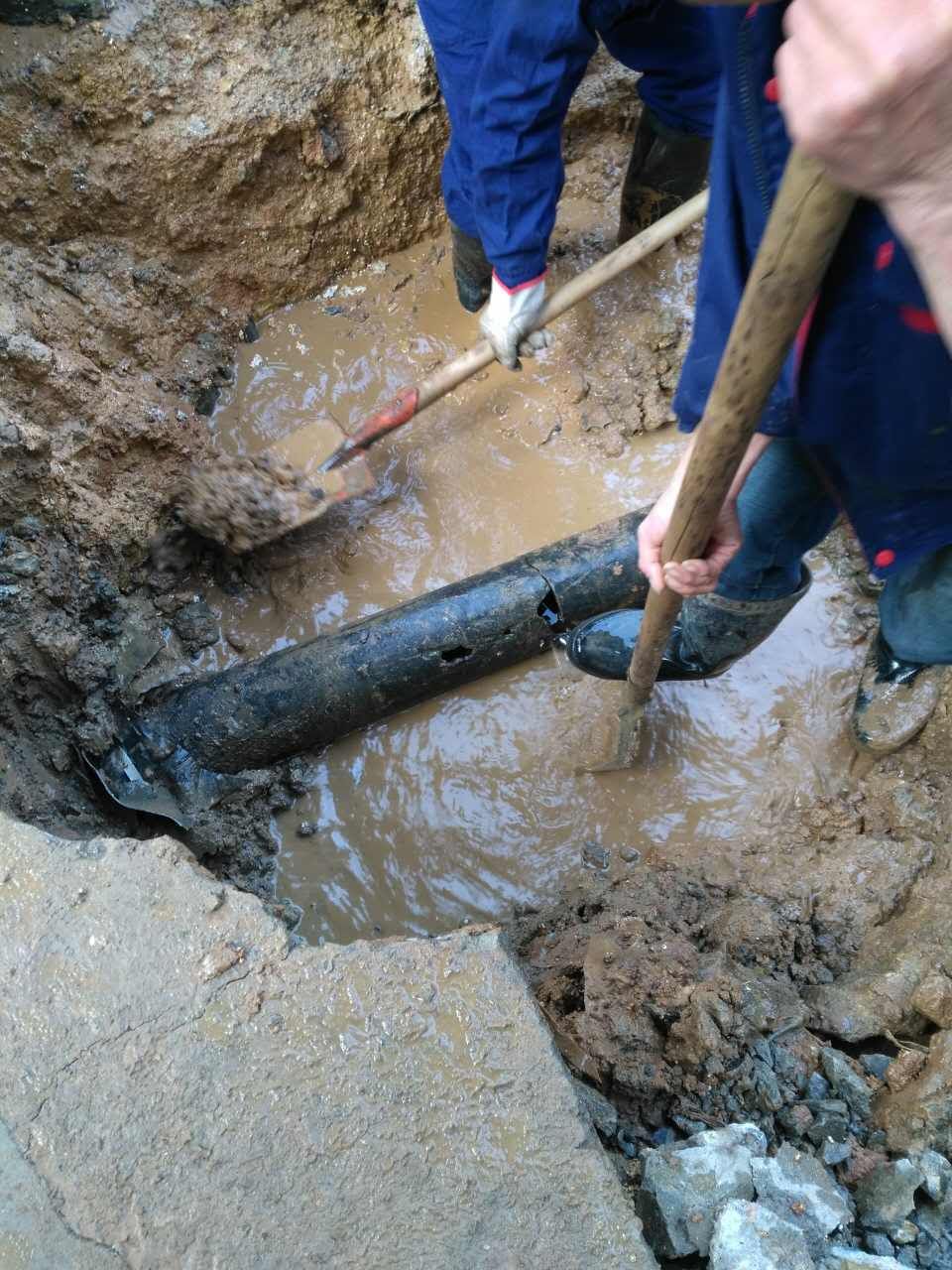 半岛在线体育app官方