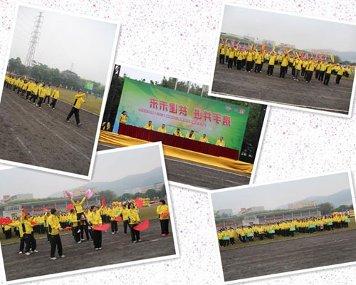 半岛在线体育app官方