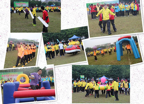 半岛在线体育app官方