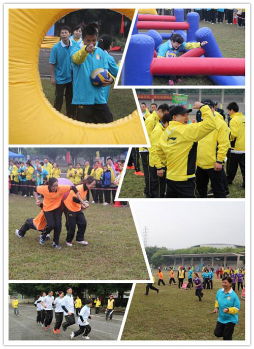 半岛在线体育app官方