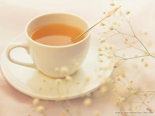 半岛在线体育app官方