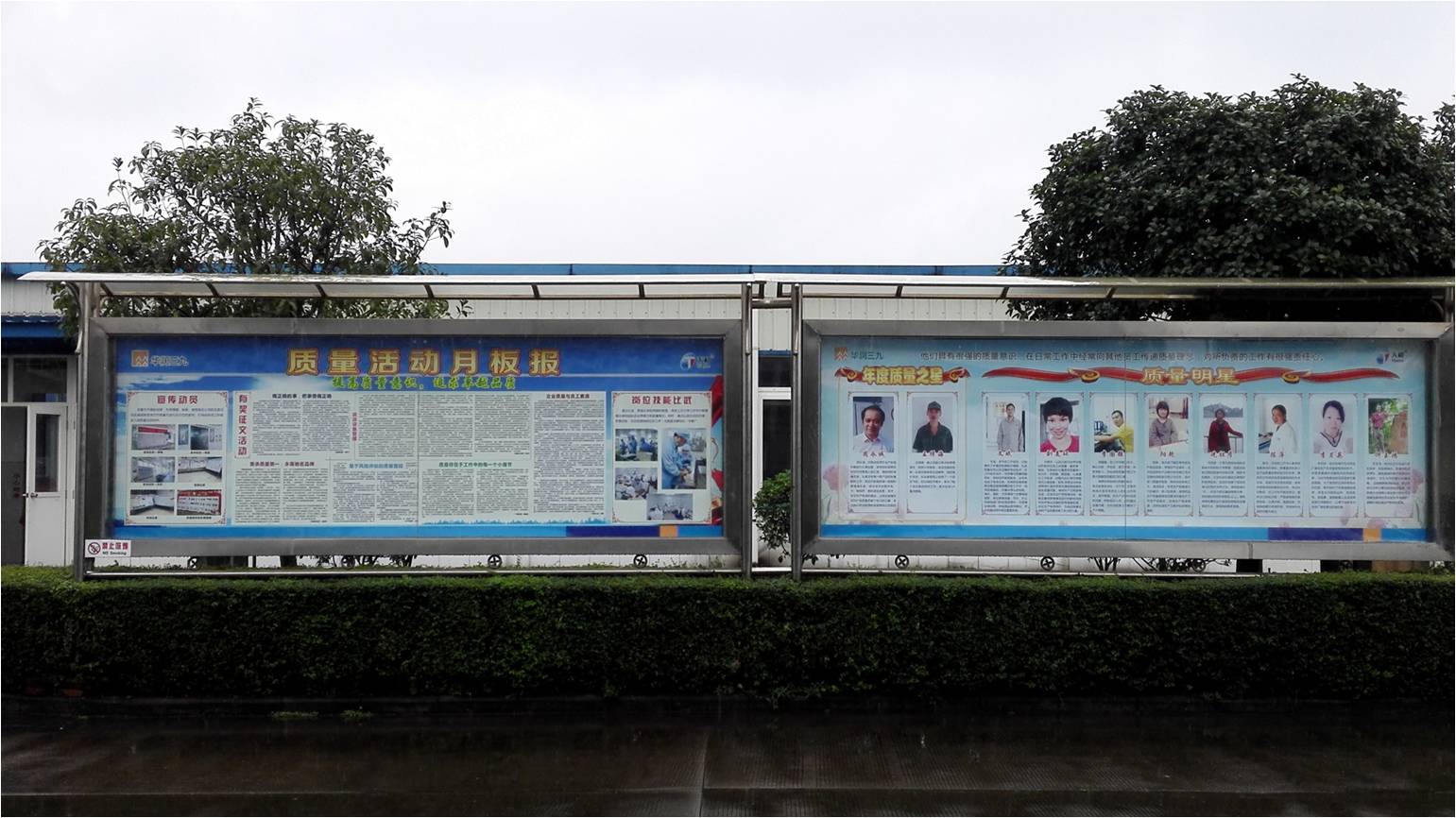 半岛在线体育app官方